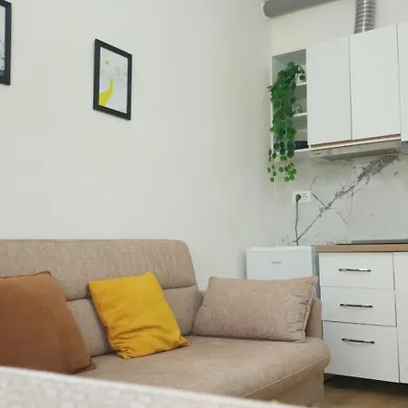 Helianthus, By Bloom In Apartamento *