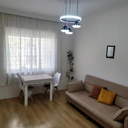 Helianthus, By Bloom In Apartamento *