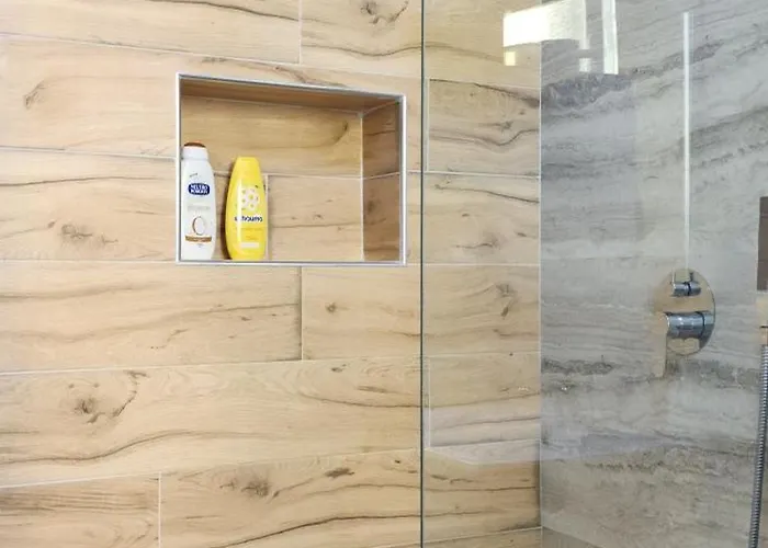 Helianthus, By Bloom In Tirana