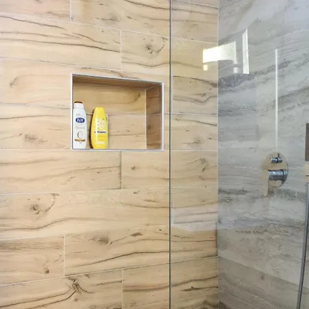 Helianthus, By Bloom In Tirana