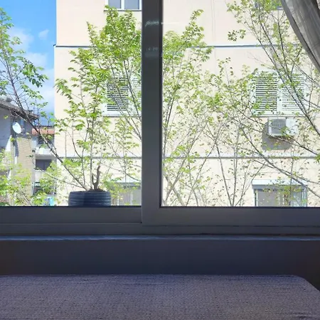 Helianthus, By Bloom In Appartement