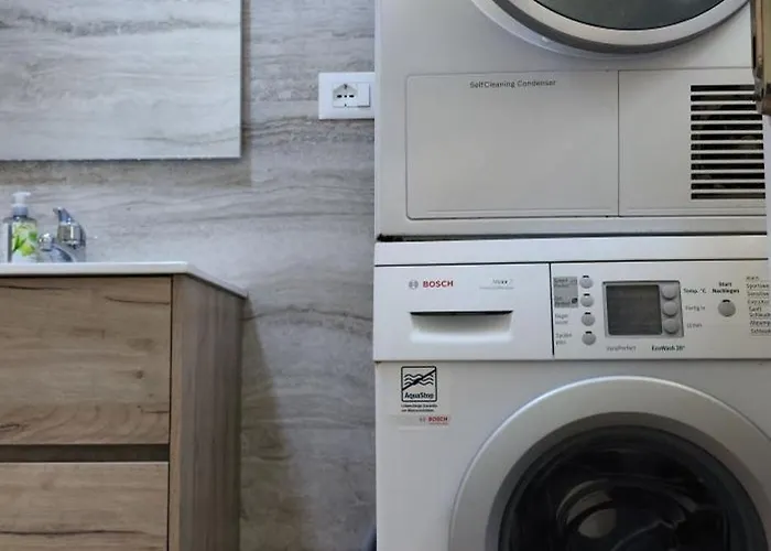 Helianthus, By Bloom In