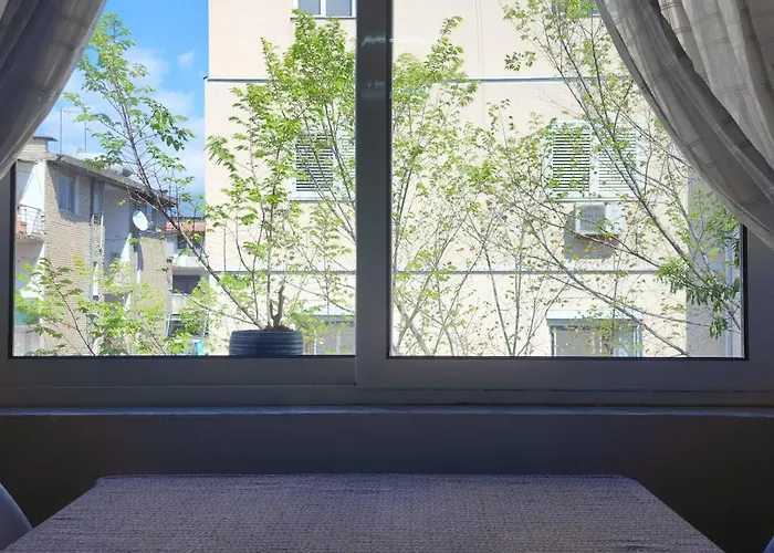 Helianthus, By Bloom In Appartement