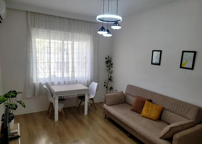 Helianthus, By Bloom In Appartement *